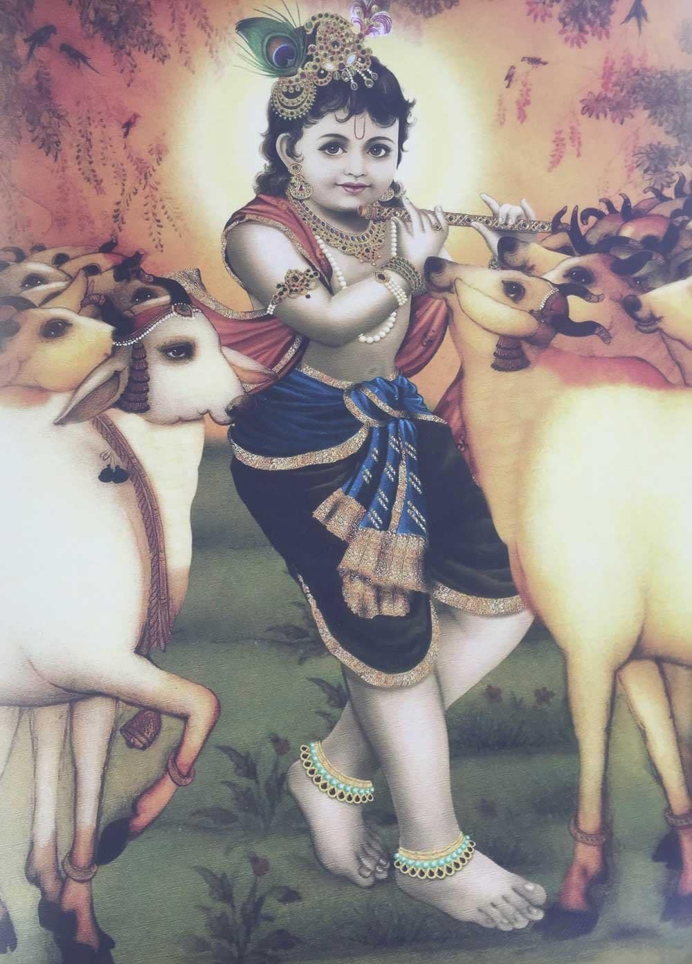 Krishna con vacas