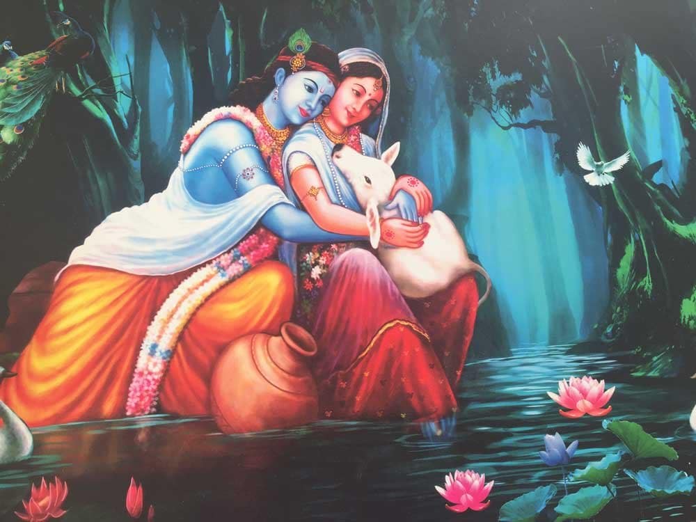 Radha Krishna con vaca